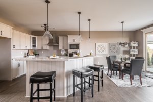 New homes in Champions Pointe
